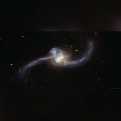 NGC 2623: Merging Galaxies from Hubble #nasa #apod #esa #hubble