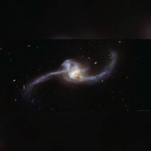 NGC 2623: Merging Galaxies from Hubble #nasa #apod #esa #hubble #optical #spitzer #infrared #xmmnewton #xray #galex #ultraviolet #hubblespacetelescope #ngc2623 #arp243  #galaxies #galacticcollision #galacticmerger #intergalactic #interstellar #universe