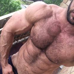 furonmuscle:  I almost always avoid posting