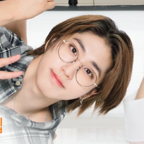 Stray Kids Matching Icons/metadinhas.