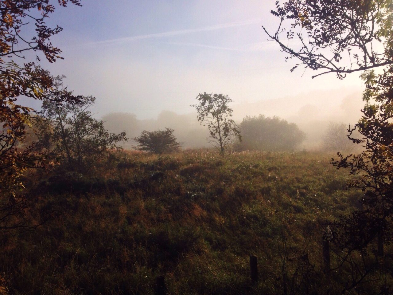 coffeejen:  You know when everything’s so pretty you feel like you’re in a book