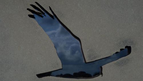 Birds Eye View. Bird Hide at Wheldrake Ings, North Yorkshire, England.If I try these again I will ta