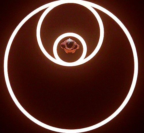 TV Shows - 3 Body Problem V