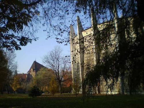 Autumn in park of Julius Slowacki - Wroclaw, Poland.