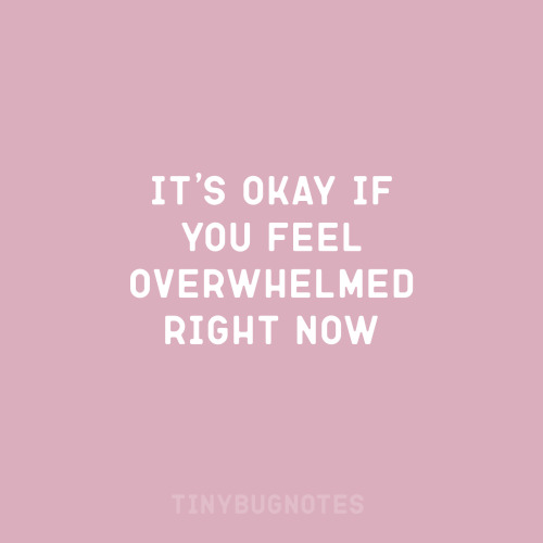 warm-positivity: tinybugnotes:It’s okay if you feel overwhelmed right now.  [ID: white text on a pin