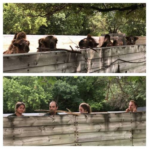 jumpingjacktrash:roachpatrol:jumpingjacktrash:the-real-seebs:zooophagous:mooseings:braineaterz:moose
