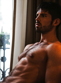 hairy-chests:  http://hairy-chests.tumblr.com/