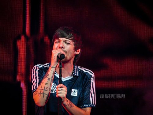 lthqs: Louis performing at Poptopia by Amy Marie