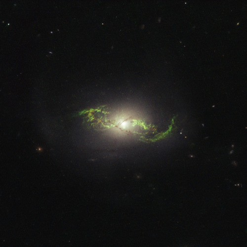 joerojasburke:Quasar ghosts!The ethereal wisps in these images were illuminated, perhaps briefly, by