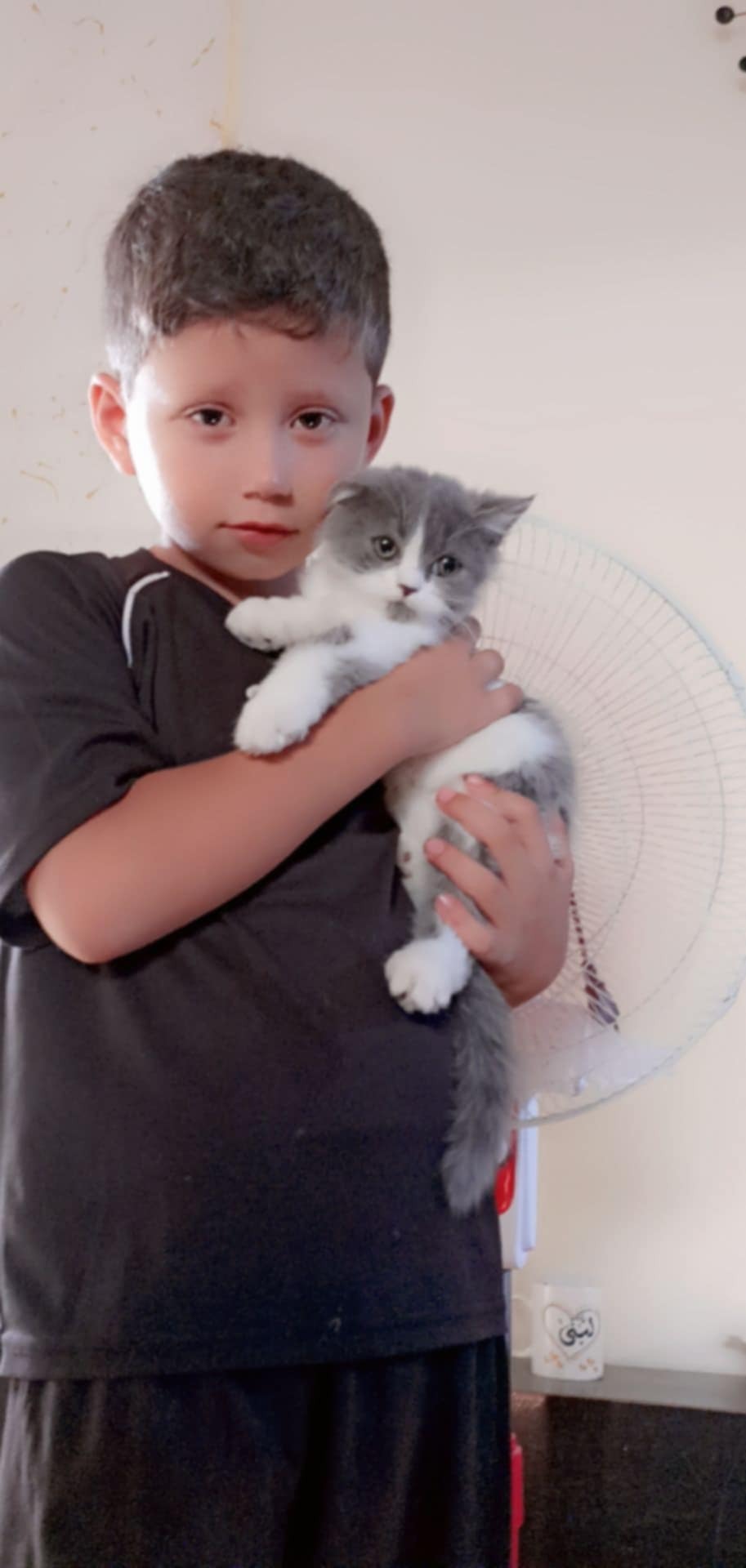 A Family Trapped In The Gaza Strip Appeals For Survival