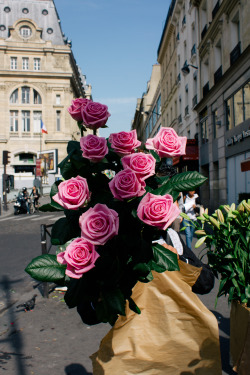 Como La Flor