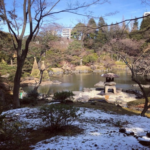 ⛳️1097. 旧古河庭園 Kyu-Furukawa Garden, Kita-ku, Tokyo #都立9庭園 の中で最も北に位置する古河庭園も、もうほとんど雪は残ってませんでした⛄️ 築山と雪見灯