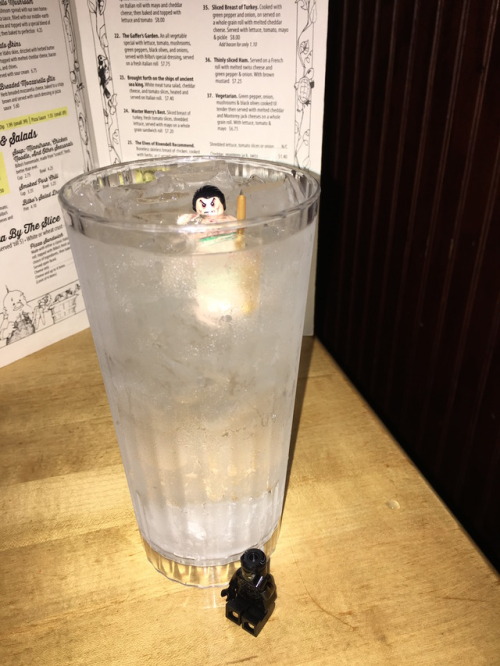 TONIGHT I ENJOYED A REFRESHING BEVERAGE IN KALAMAZOO, WHILE MY TWO SHIELD COMPANIONS ARGUED OVER WHE