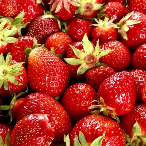 Garden fresh strawberries have the sweetest flavor. Dave just brought these in. #blogging #foodporn 