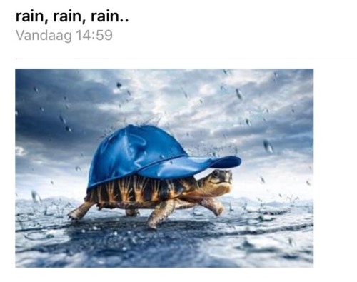 pietriarchy:management emailed this picture to the whole employee list today