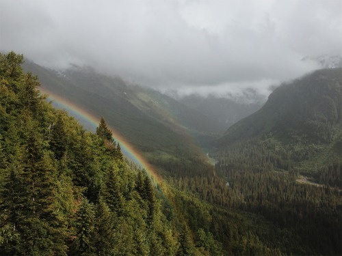 expressions-of-nature:by Sean Doolan Hames