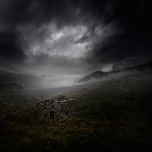 Andy Lee