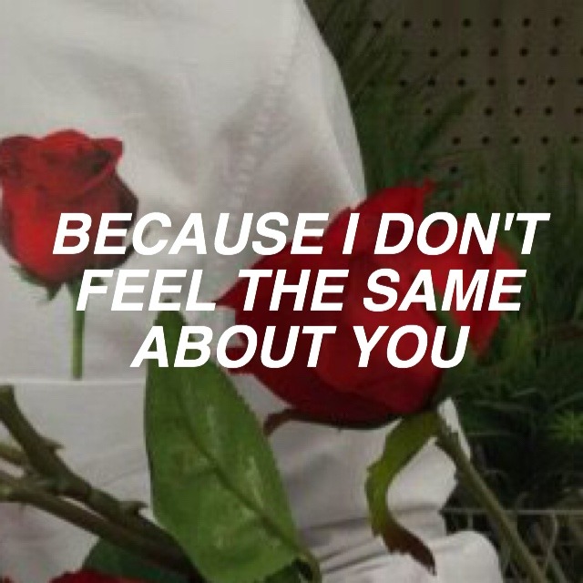 moondaisy-sunflower