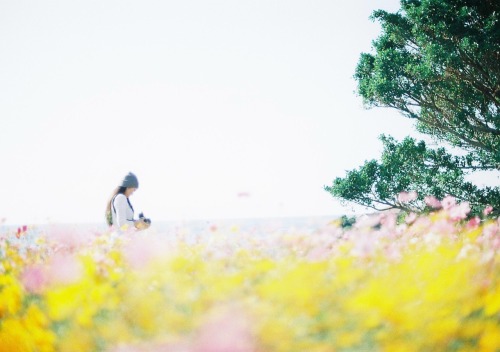 花雲に浮かんで.*