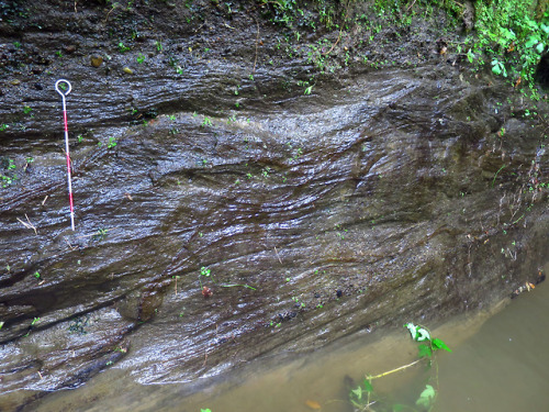 happy-geology:波浪が海底に作用してできた地層の模様（ハンモック状斜交層理）　　更新世　　柏崎市Sandstone beds showing hummocky cross-stratifi