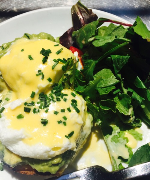 In another life, I was an avocado.(Super delish avocado toast, poached eggs and vegan hollandaise at