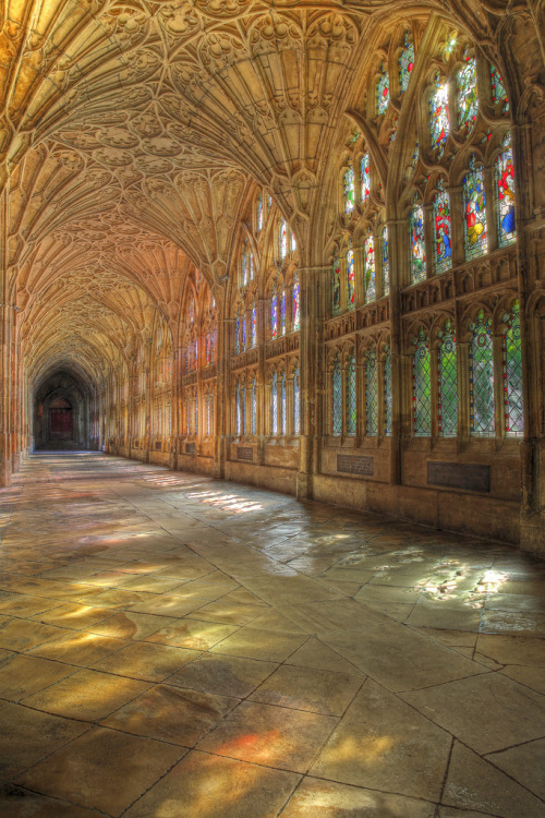 wanderthewood:Cloisters at Gloucester Cathedral, Gloucestershire, England by F A Z