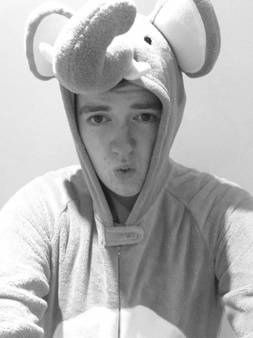 I’m not attractive but I am an Elephant.