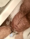 hairyobsessionss:BBB BIG BEEFY BEAR https://hairyobsessionss.tumblr.com/Hairy Furry Men