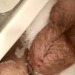 hairyobsessionss:BBB BIG BEEFY BEAR https://hairyobsessionss.tumblr.com/Hairy Furry Men