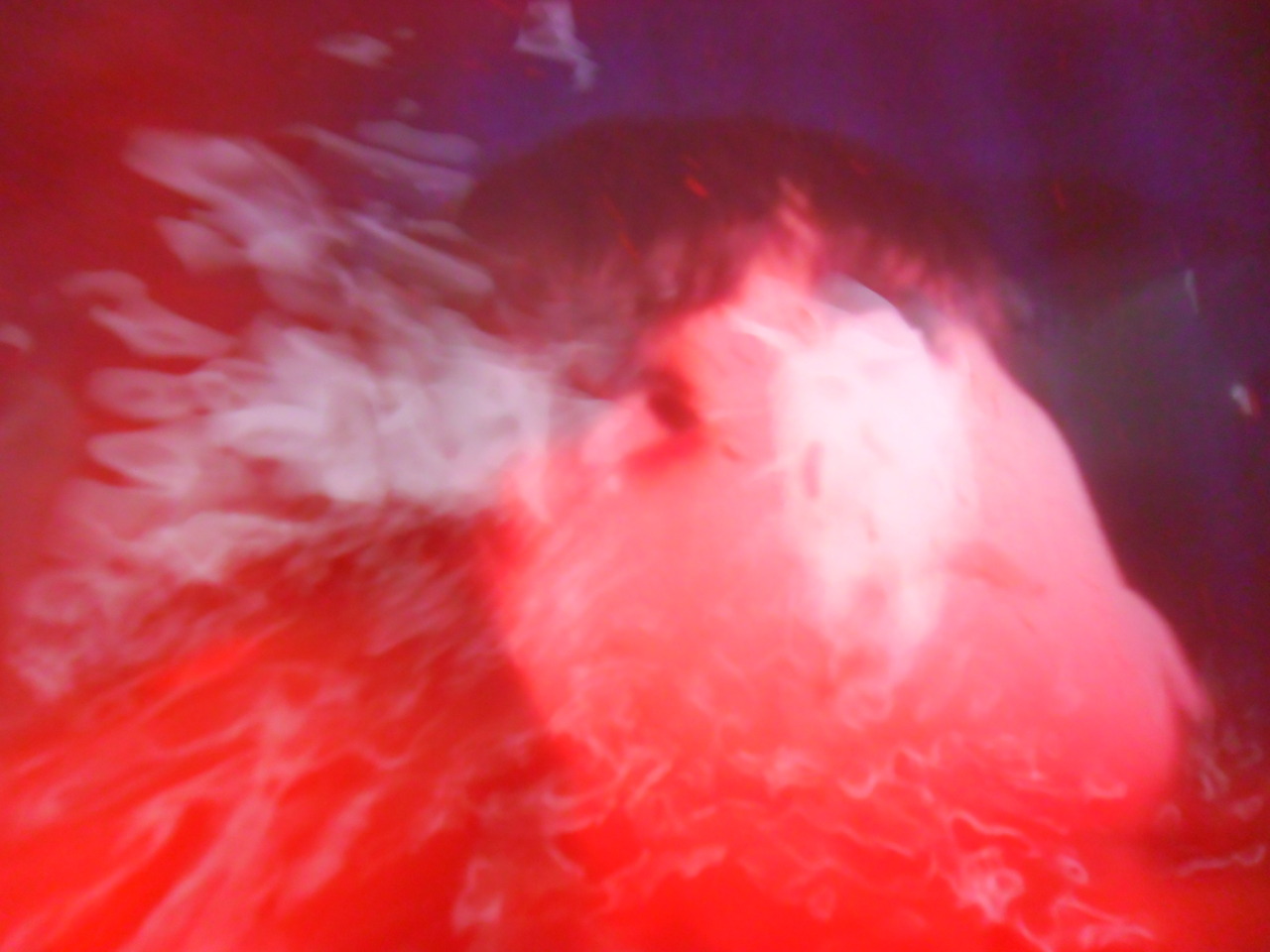 carladiacov:   although drowning, Ophelia slowly bleeds follies and foolish caresses