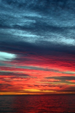 touchdisky:  Semaphore Beach, Australia by Charlie