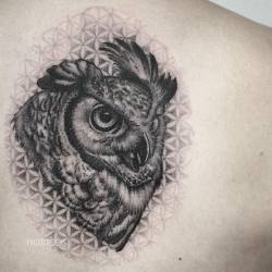 1337tattoos:  fintattoos