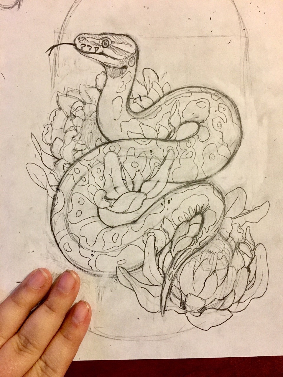 Pin by Caitlin Patterson on Ink  Western hognose snake Snake drawing Hognose  snake