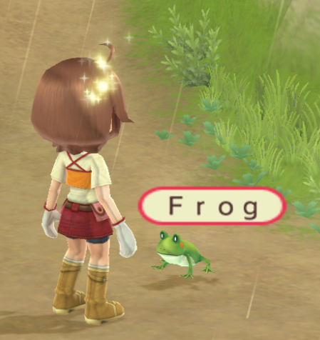 frogs-in-games:Harvest Moon: Animal Parade (2009)