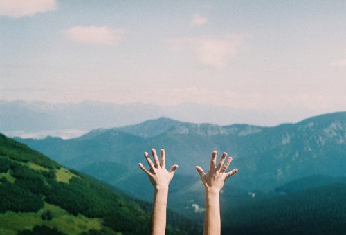 perfectmadness:  (by anna strachan / marek strachan) 