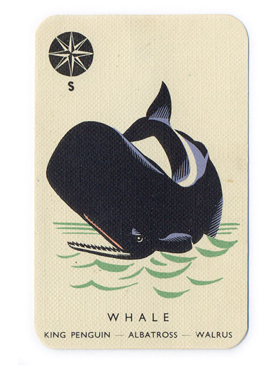 modernizor:vintage animal cards