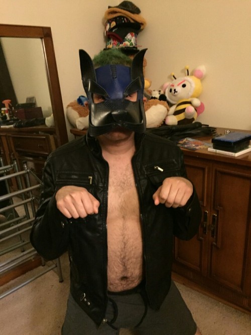 bimasterdax:My playful pup wearing my leather porn pictures