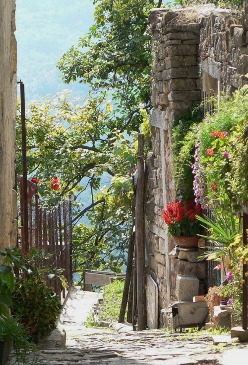 Pretty street in the hilltop town of Motovun, Croatia (by David Lownds).