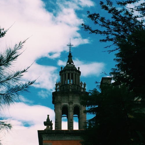 alexandrobam: Zacatecas, México.