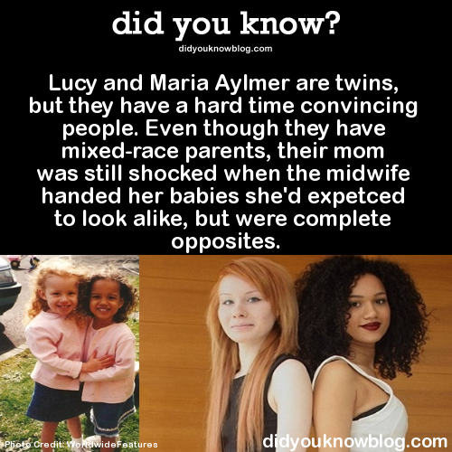 did-you-kno:  Lucy and Maria Aylmer are twins, but they have a hard time convincing