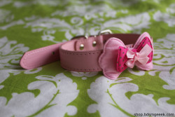 bdsmgeekshop:  Just got this adorable Little Bowtie Collar in today!   It&rsquo;s so cute!