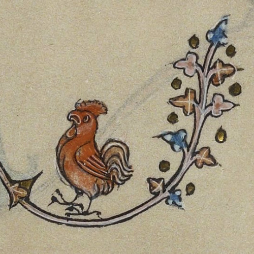 Dog shooting rooster. (Rooster feeling an unaccountable premonition of doom.)Manuscript description 