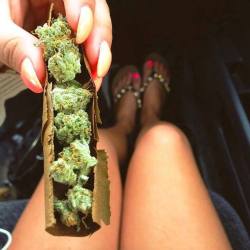 cannabisrelated:Life is one big road with