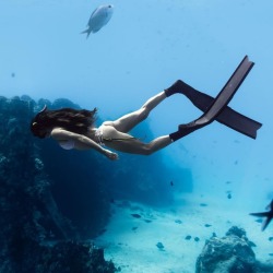 soonerdiver:  So beautiful