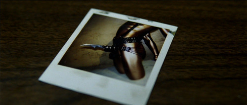 raspberrynoir:  31 Days of Halloween-Day 14“Ernest Hemingway once wrote, “The world is a fine place and worth fighting for.” I agree with the second part.”Seven (1995) Directed by David Fincher 