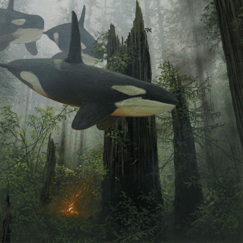 cipheramnesia: wordcubed:  anaisnein:  No, let them roam!   They’re good sharks, Brent. 