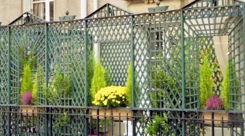 Jardin d’automne, Montmartre, Paris, 1998.