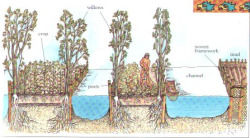 quienesesachica:  frusilerias:  il-tenore-regina:  myradish:  aullidodecisne:  hyggehaven:   Chinampa (Nahuatl: chināmitl [tʃiˈnaːmitɬ]) is a method of ancient Mesoamerican agriculture which used small, rectangular areas of fertile arable