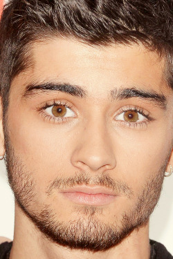 larrystylinsons:  zayn&rsquo;s facial hair → stubble 