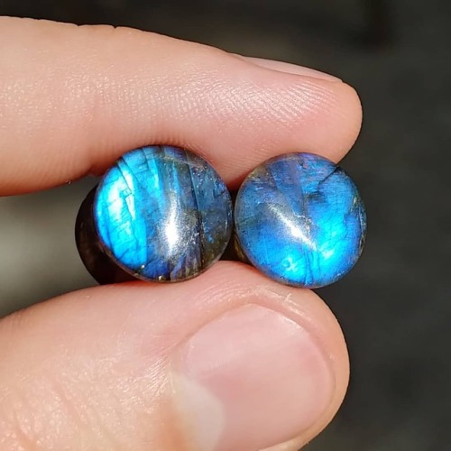 austinplugandtunnelco: 0g\8mm bright blue Labradorite plugs are available on my Etsy store. Go check